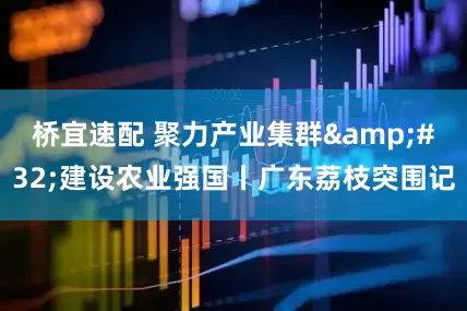 桥宜速配 聚力产业集群 建设农业强国丨广东荔枝突围记