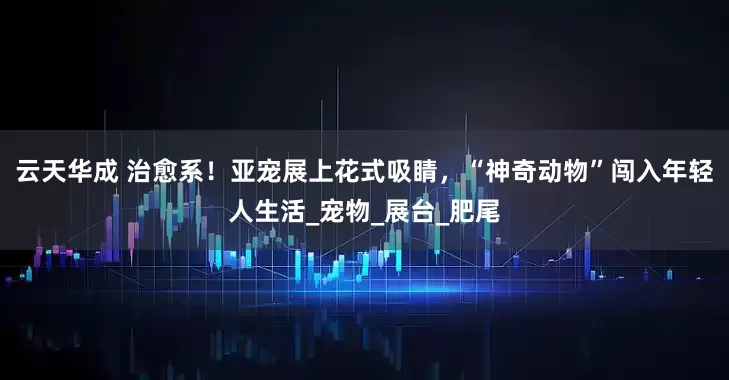 云天华成 治愈系！亚宠展上花式吸睛，“神奇动物”闯入年轻人生活_宠物_展台_肥尾