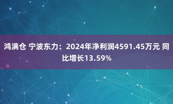 鸿满仓 宁波东力：2024年净利润4591.45万元 同比增长13.59%